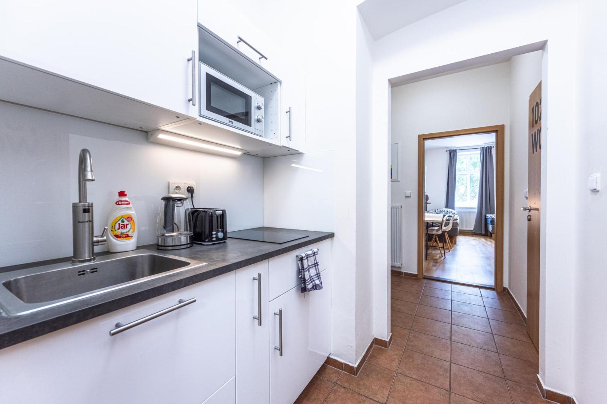 Holandska 36 Apartamento Praga